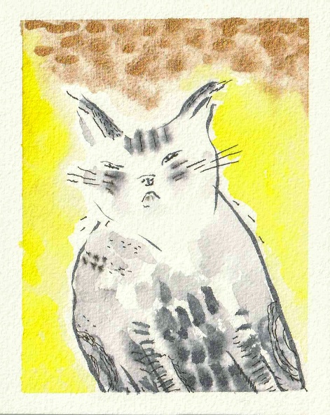 watercolour of cat